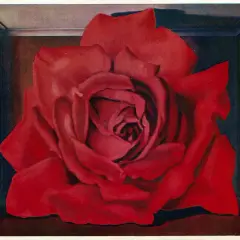 Un tableau de Magritte : une rose rouge immense remplit une pièce, une fenêtre ouverte sur un ciel bleu.