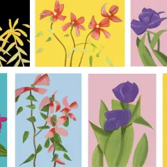 Des fleurs stylisées dans le style de Alex Katz : jaunes sur fond noir, rouges sur fond jaune, violettes sur fond rose, roses sur fond bleu sarcelle, et roses et blanches sur fond jaune.