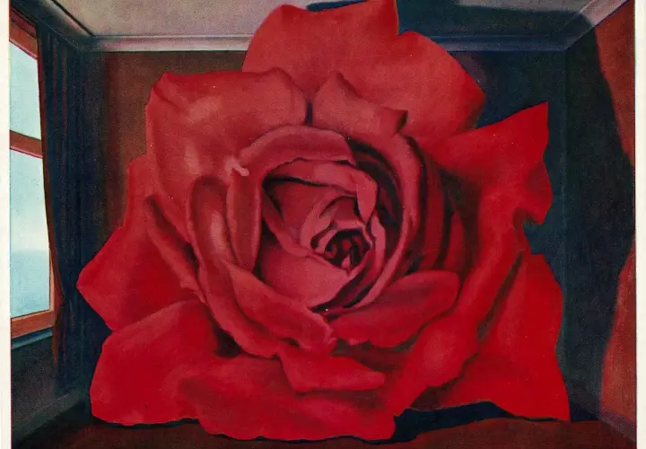 Un tableau de Magritte : une rose rouge immense remplit une pièce, une fenêtre ouverte sur un ciel bleu.