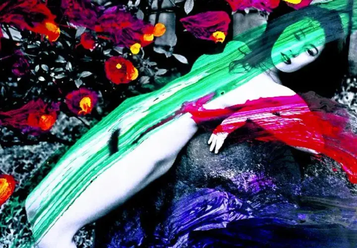 Une femme repose, peinte de couleurs vives, dans un style rappelant Nobuyoshi Araki. Des fleurs rouges et roses contrastent avec le vert et le rouge abstraits.
