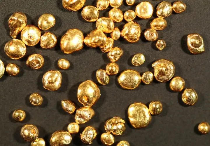 Grains d'or brillant, certains ressemblant à des pépites, d'autres à des billes. Chaque pièce, un petit trésor de 24 carats, scintille sur fond sombre.