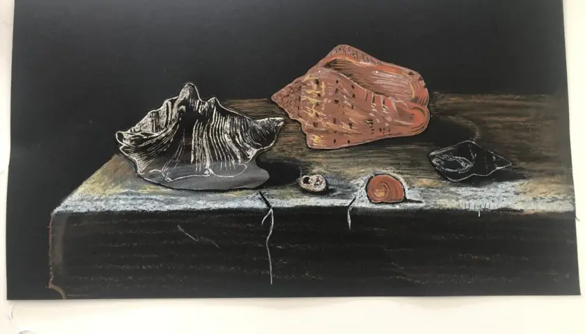 Nature morte de coquillages sur un fond noir, dans le style d'Adriaen Coorte.
