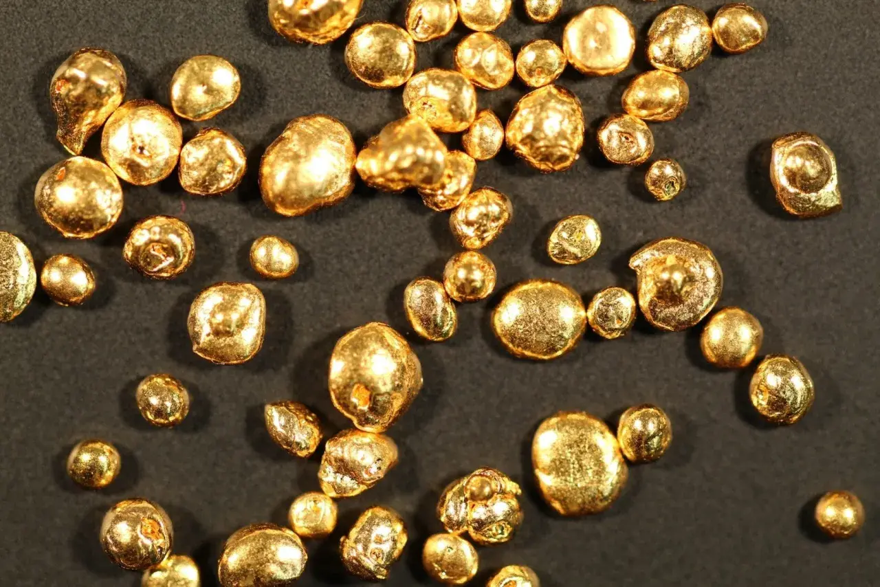Grains d'or brillant, certains ressemblant à des pépites, d'autres à des billes. Chaque pièce, un petit trésor de 24 carats, scintille sur fond sombre.